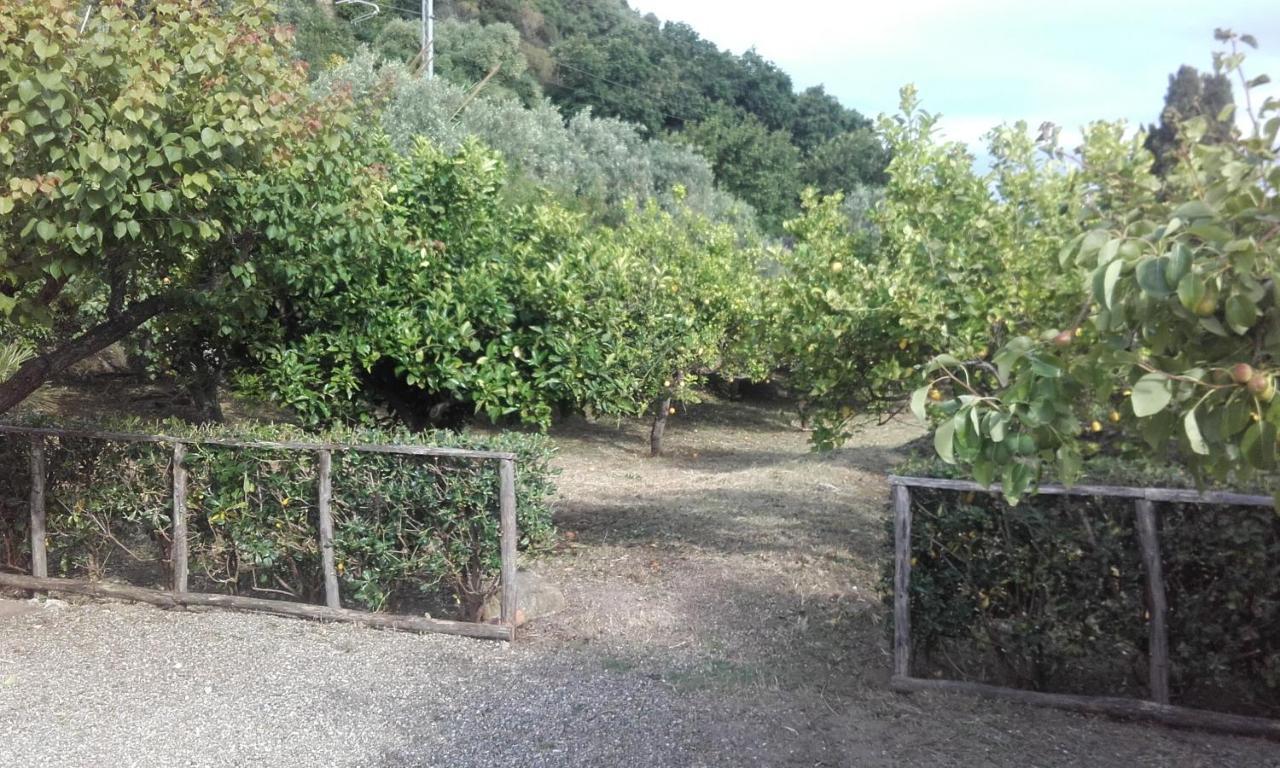 B&B Il Giardino Di Zefiro Gioiosa Marea Bagian luar foto