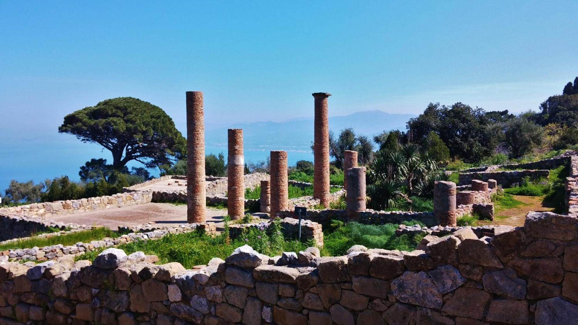 B&B Il Giardino Di Zefiro Gioiosa Marea Bagian luar foto