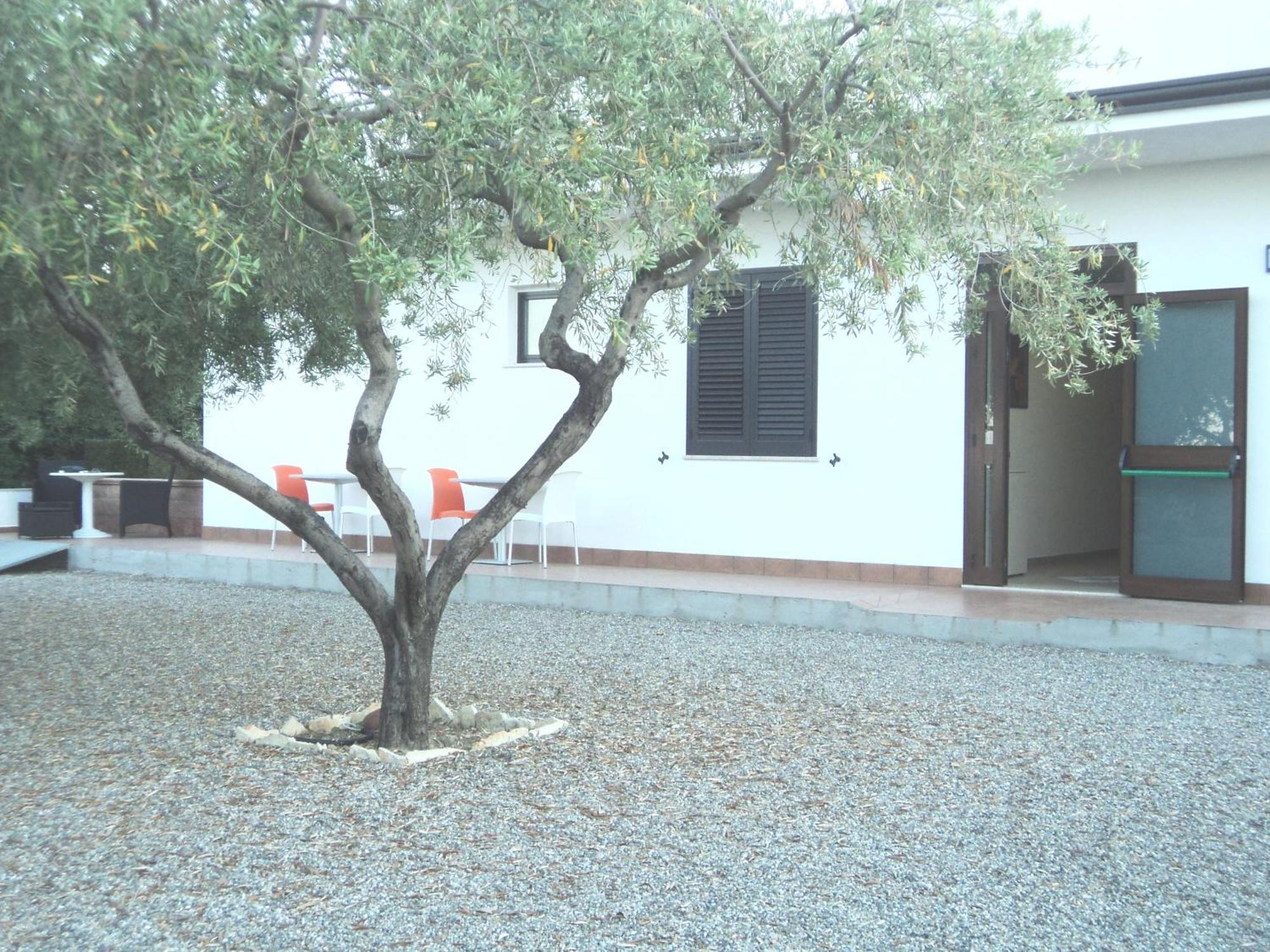 B&B Il Giardino Di Zefiro Gioiosa Marea Bagian luar foto