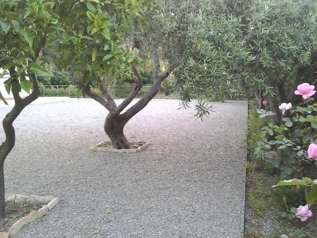 B&B Il Giardino Di Zefiro Gioiosa Marea Bagian luar foto